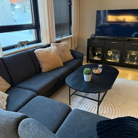 Daire Centrally Located In The Middle Of The Center With 2 Bedrooms Narvik